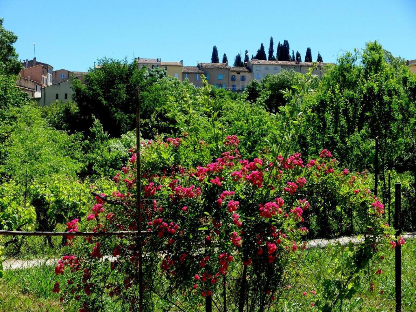 La Maison De Campagne Carcès Εξωτερικό φωτογραφία