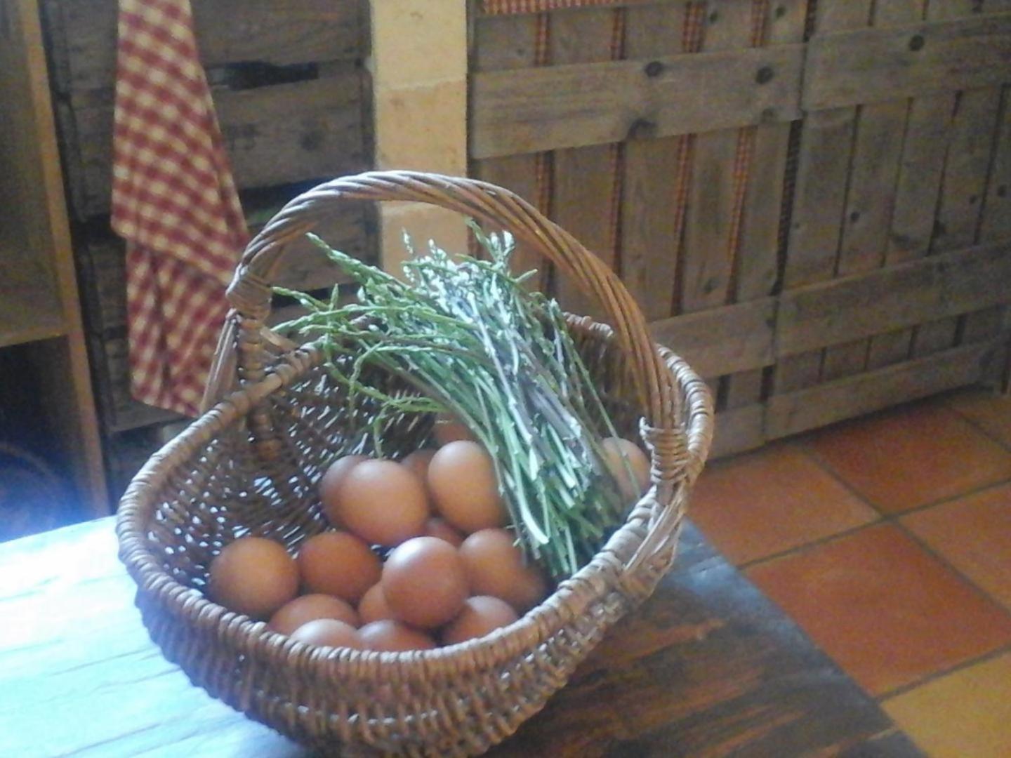 La Maison De Campagne Carcès Εξωτερικό φωτογραφία